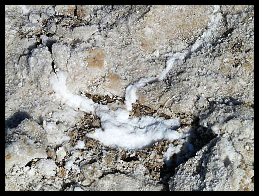 Badwater Vallée de la mort